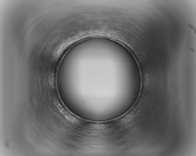 X0000100411499200806131024