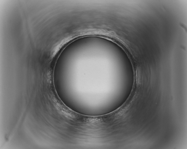 X0000100411501200806131024