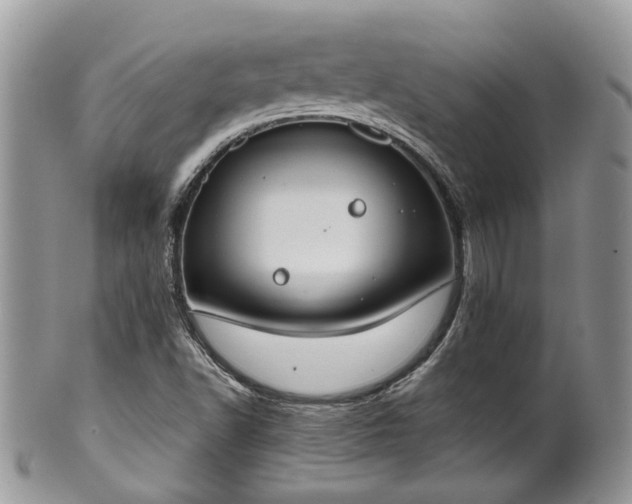 X0000100411502200806131024