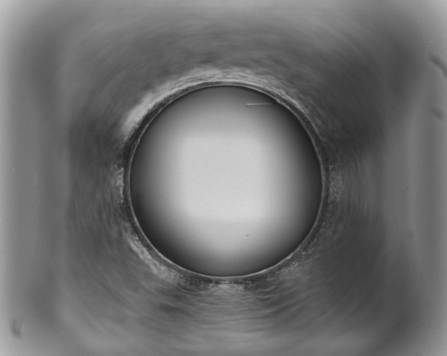 X0000100411503200806131024