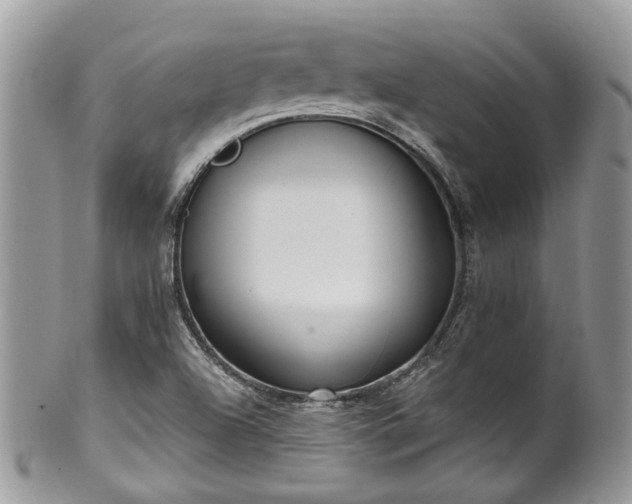 X0000100411504200806131024