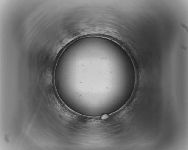 X0000100411505200806131024