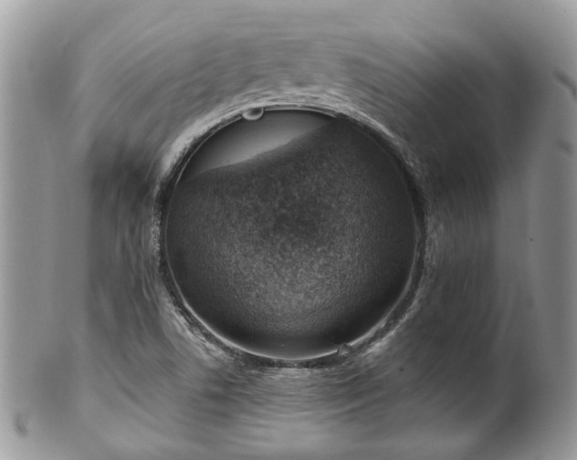 X0000100411506200806131024