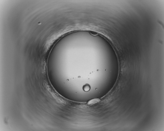 X0000100411507200806131024