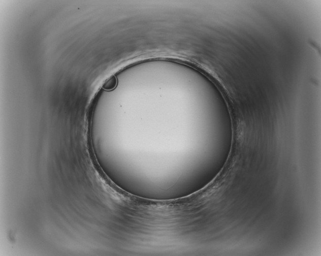 X0000100411508200806131024