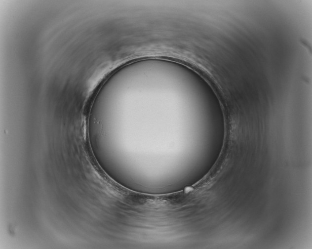 X0000100411509200806131024