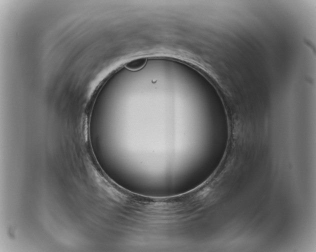 X0000100411510200806131024