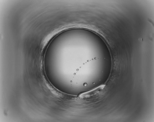 X0000100411511200806131024