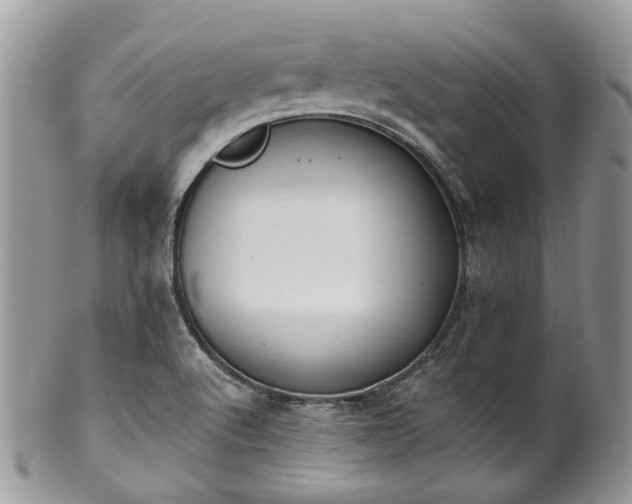 X0000100411512200806131024