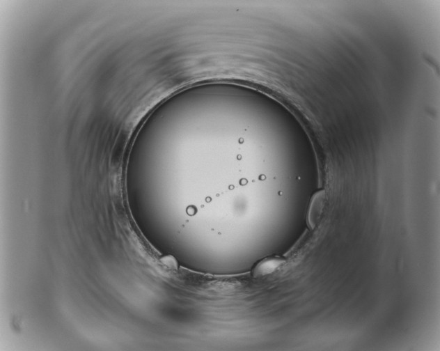 X0000100411513200806131024