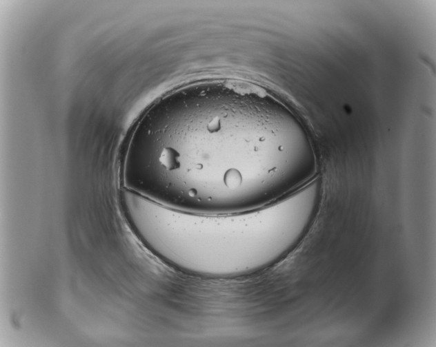 X0000100411514200806131024