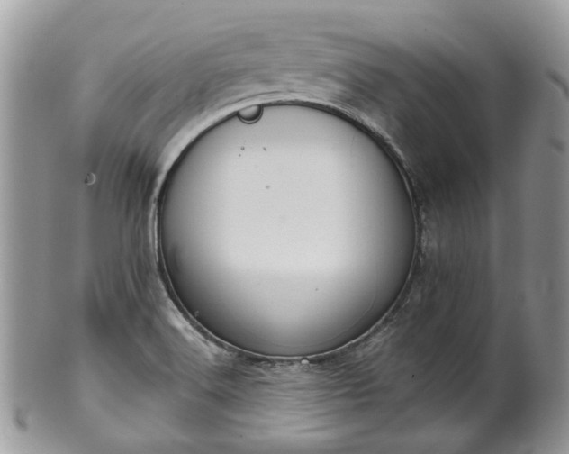 X0000100411516200806131024