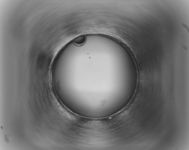 X0000100411517200806131024