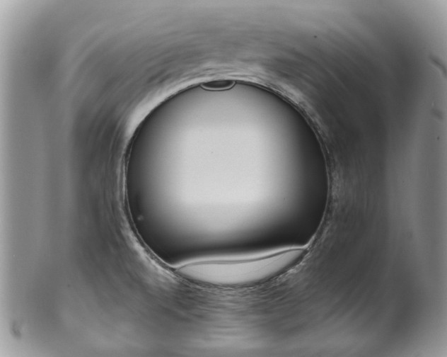 X0000100411520200806131024