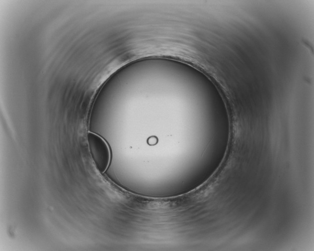 X0000100411521200806131024