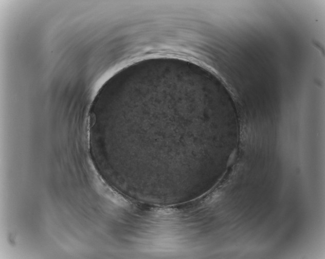 X0000100411522200806131024