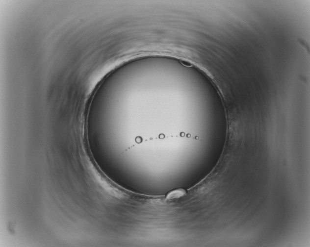 X0000100411523200806131025