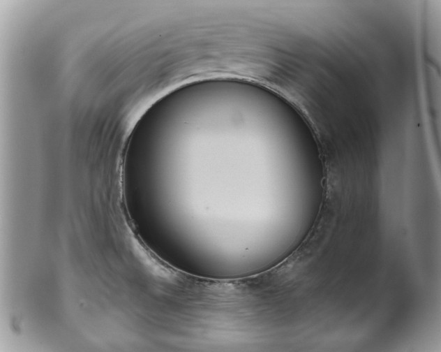 X0000100411524200806131025