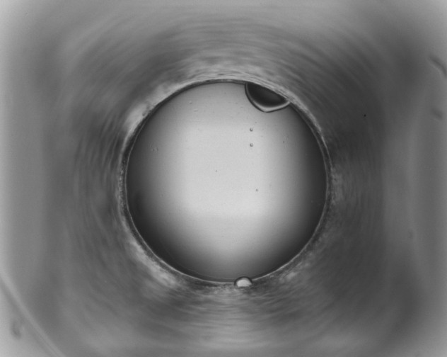 X0000100411525200806131025