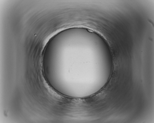 X0000100411526200806131025