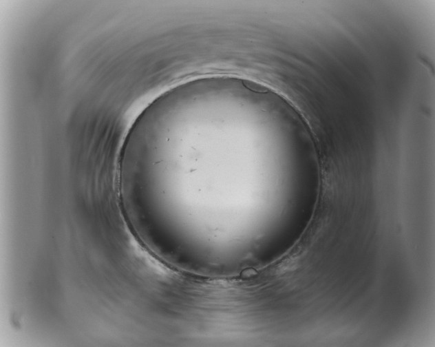 X0000100411527200806131025