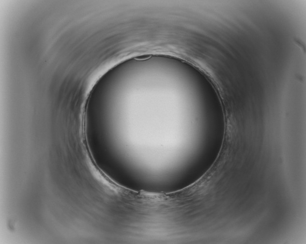 X0000100411528200806131025