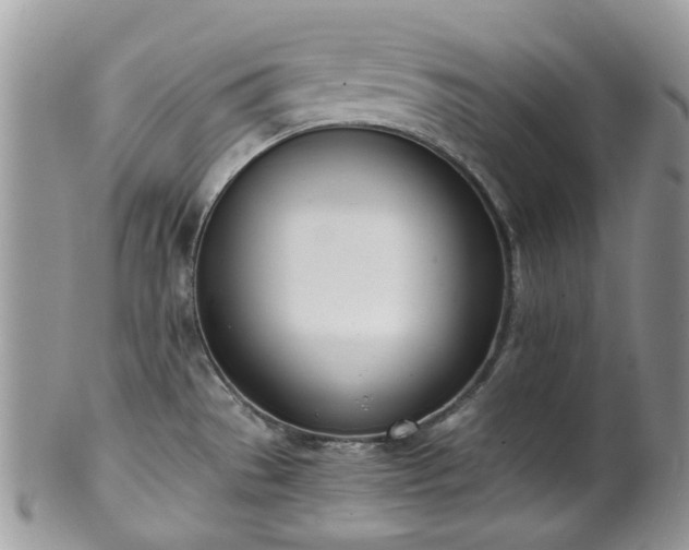 X0000100411529200806131025