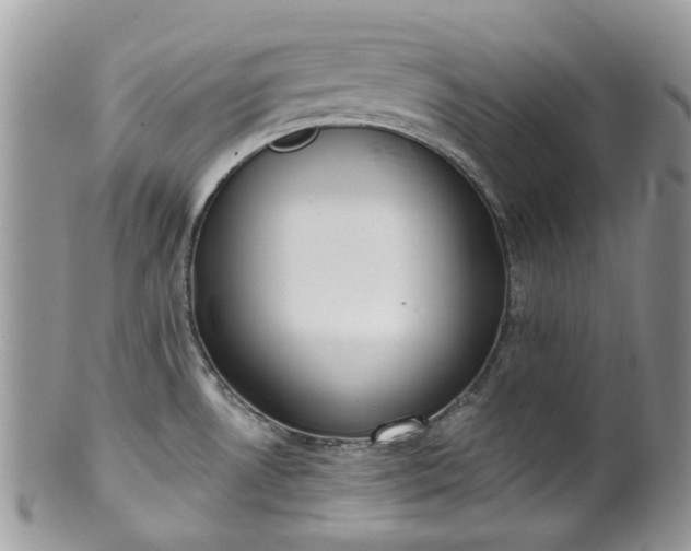 X0000100411530200806131025