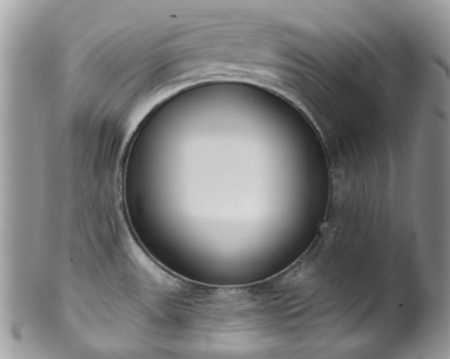 X0000100411531200806131025