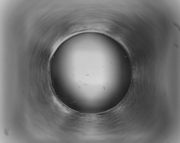 X0000100411532200806131025