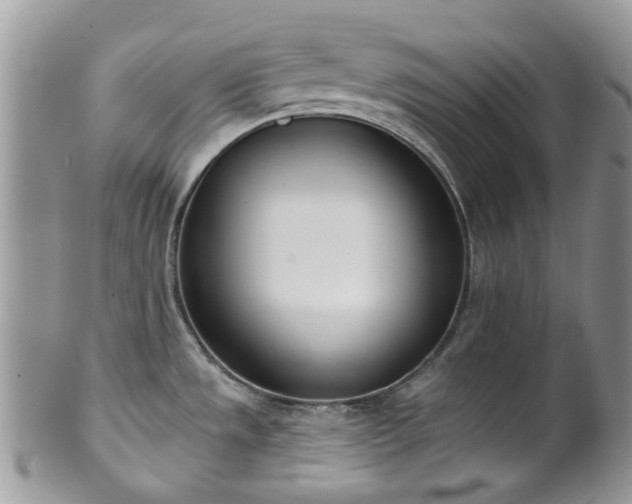 X0000100411533200806131025