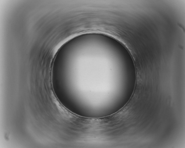 X0000100411534200806131025