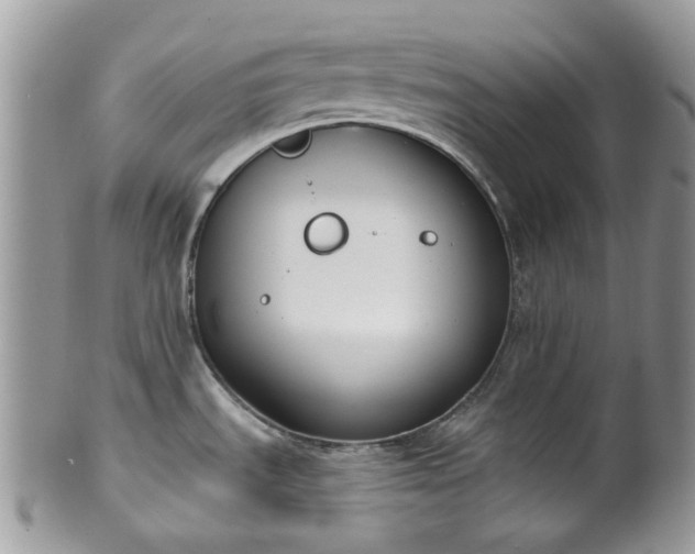 X0000100411535200806131025