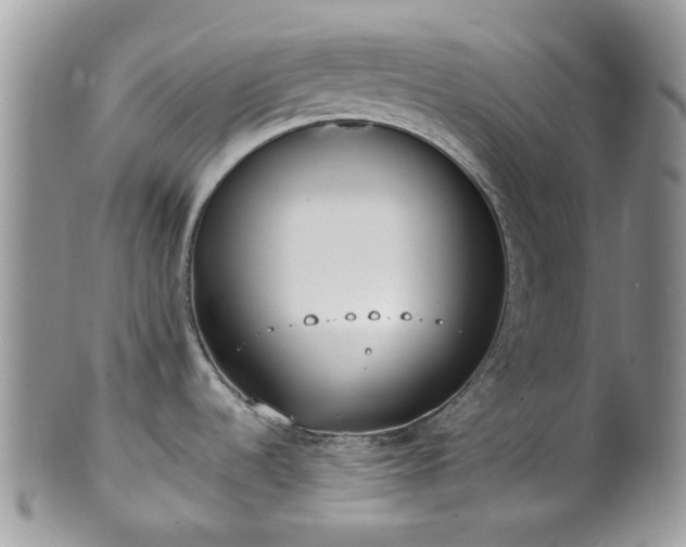 X0000100411536200806131025