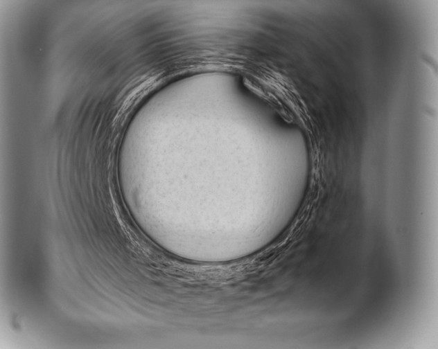 X0000100410001200806201810