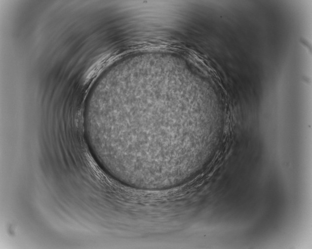 X0000100410002200806201810