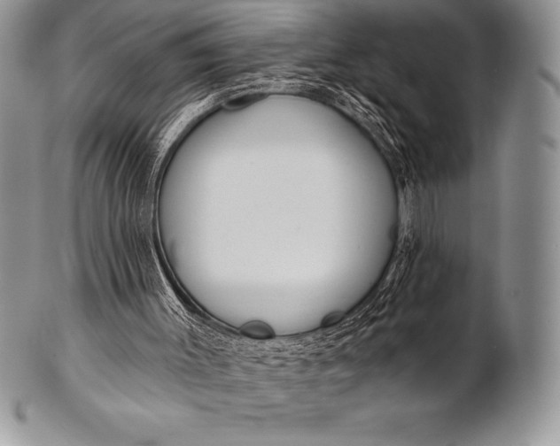 X0000100410003200806201810