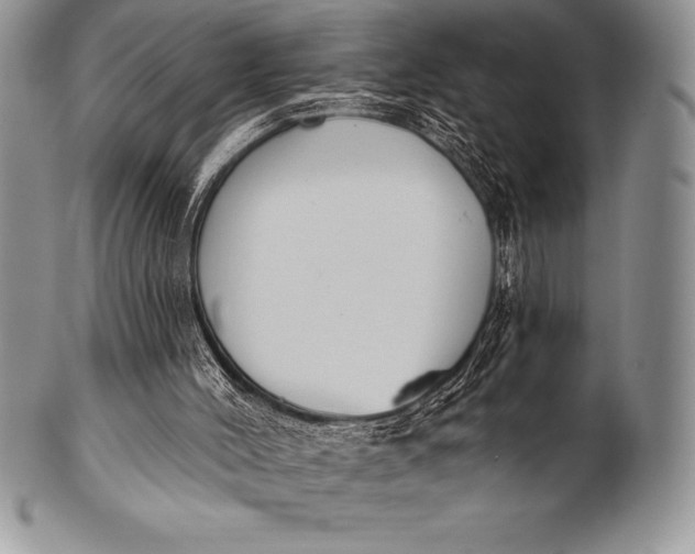 X0000100410004200806201810