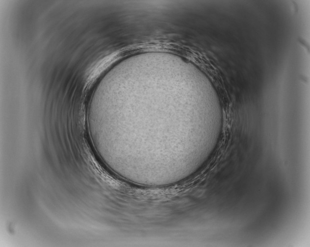 X0000100410005200806201810