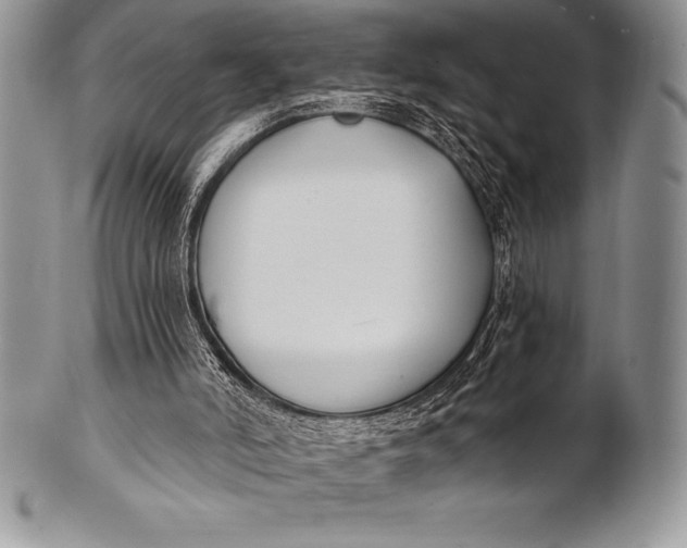 X0000100410006200806201810