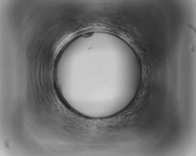 X0000100410007200806201810