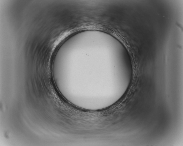 X0000100410008200806201810