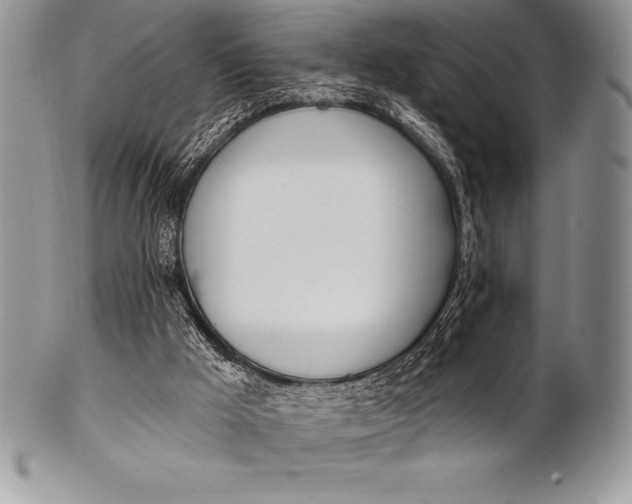 X0000100410009200806201810