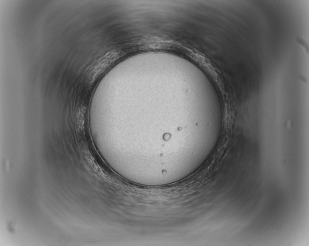 X0000100410010200806201809