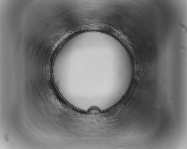 X0000100410012200806201809