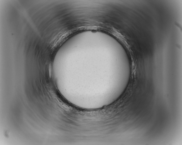 X0000100410013200806201809