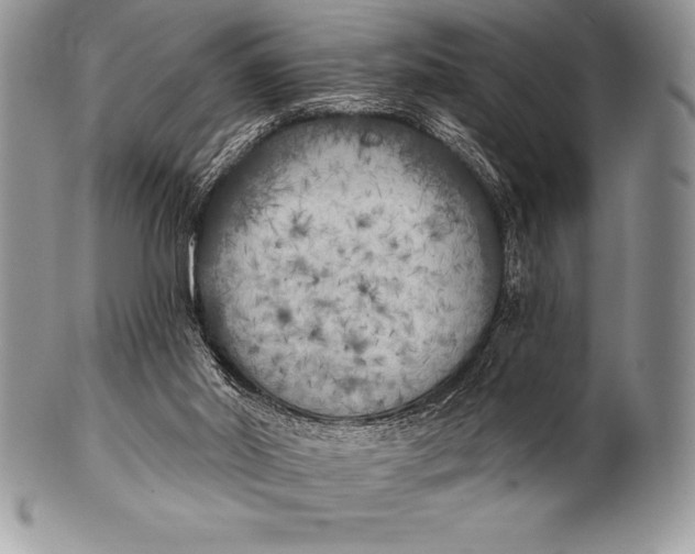 X0000100410014200806201809