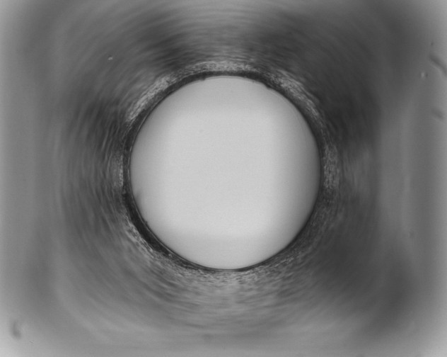 X0000100410015200806201809