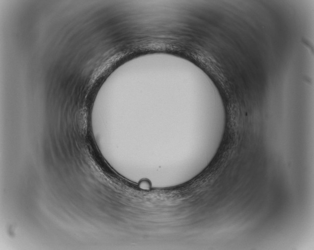 X0000100410016200806201809