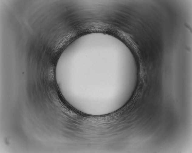 X0000100410017200806201809